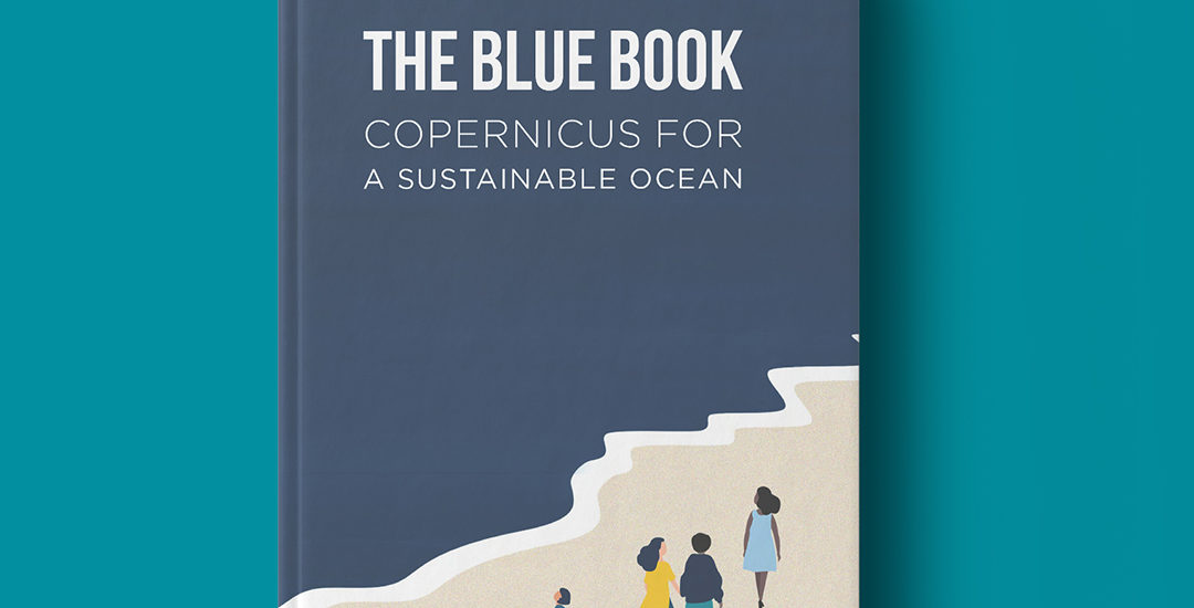 Livre relatant de tous les aspects des océans, qu'ils soient économiques environnementaux ou politique. Création de la mise en page du graphisme et des illustrations du livre. Toulouse.