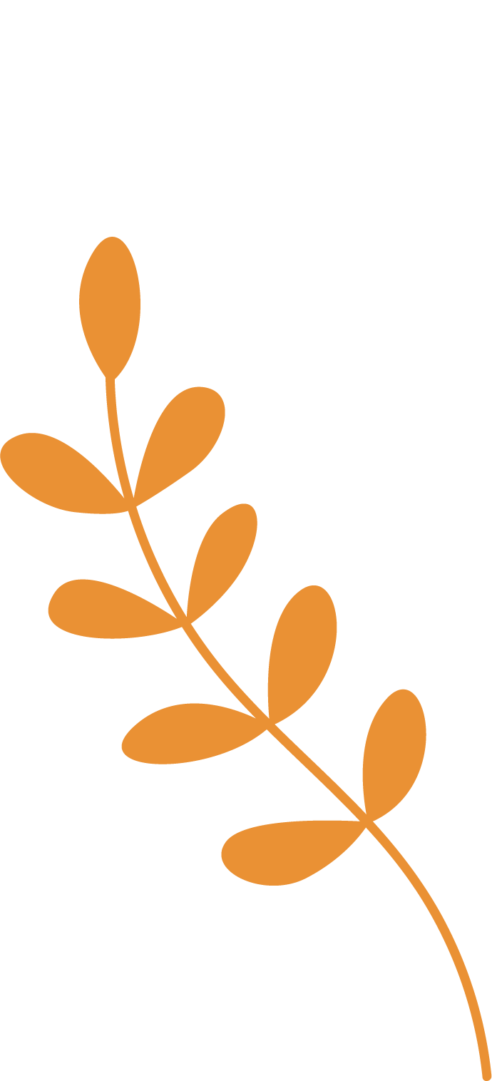 branche feuille orange